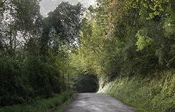 Los caminos de Santiago en el Camino de Santiago