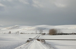 Los caminos de Santiago en el Camino de Santiago. Europa